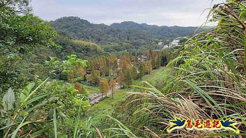 三峽永福宮-二鬮山-小石牛-大石牛-烏塗窟山-娘子坑山-妙法寺-大溪老街 (54).jpg