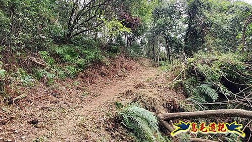 三峽永福宮-二鬮山-小石牛-大石牛-烏塗窟山-娘子坑山-妙法寺-大溪老街 (59).jpg