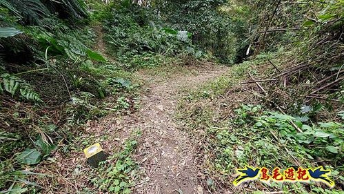 三峽永福宮-二鬮山-小石牛-大石牛-烏塗窟山-娘子坑山-妙法寺-大溪老街 (57).jpg