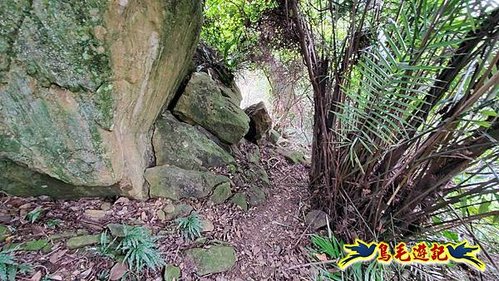 三峽永福宮-二鬮山-小石牛-大石牛-烏塗窟山-娘子坑山-妙法寺-大溪老街 (67).jpg