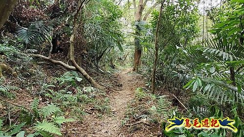 三峽永福宮-二鬮山-小石牛-大石牛-烏塗窟山-娘子坑山-妙法寺-大溪老街 (69).jpg