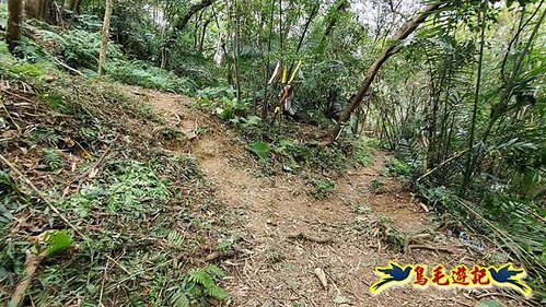 三峽永福宮-二鬮山-小石牛-大石牛-烏塗窟山-娘子坑山-妙法寺-大溪老街 (70).jpg