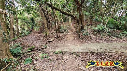 三峽永福宮-二鬮山-小石牛-大石牛-烏塗窟山-娘子坑山-妙法寺-大溪老街 (72).jpg