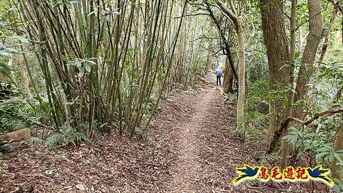 三峽永福宮-二鬮山-小石牛-大石牛-烏塗窟山-娘子坑山-妙法寺-大溪老街 (85).jpg