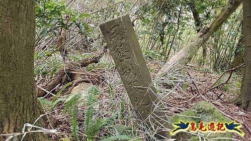 三峽永福宮-二鬮山-小石牛-大石牛-烏塗窟山-娘子坑山-妙法寺-大溪老街 (87).jpg