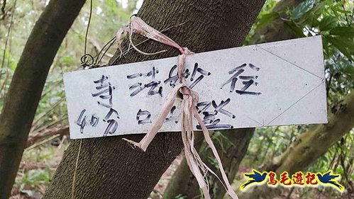 三峽永福宮-二鬮山-小石牛-大石牛-烏塗窟山-娘子坑山-妙法寺-大溪老街 (92).jpg