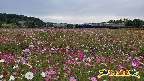 三峽永福宮-二鬮山-小石牛-大石牛-烏塗窟山-娘子坑山-妙法寺-大溪老街 (102).jpg