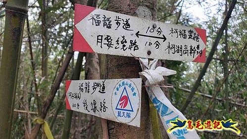 竹東福龍步道柯子湖山西北峰北峰柯子湖山O形 (12).jpg