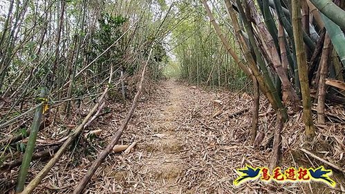 竹東福龍步道柯子湖山西北峰北峰柯子湖山O形 (10).jpg