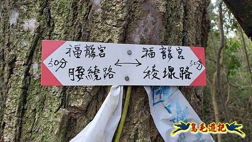 竹東福龍步道柯子湖山西北峰北峰柯子湖山O形 (22).jpg