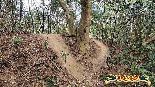 竹東福龍步道柯子湖山西北峰北峰柯子湖山O形 (29).jpg