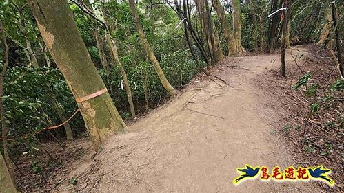 竹東福龍步道柯子湖山西北峰北峰柯子湖山O形 (32).jpg