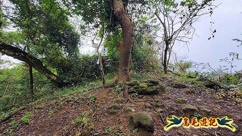 三峽溪南尖一線天主公山%26;天南寺環山步道雙O形 (31).jpg