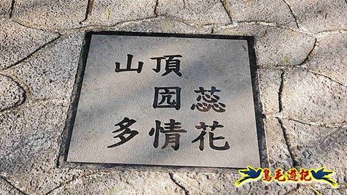 竹東三山 (9).jpg
