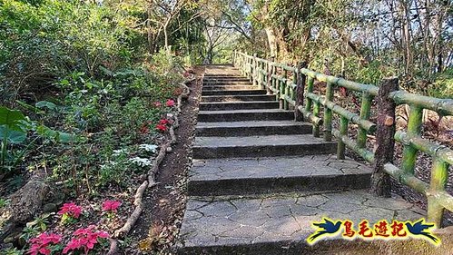 竹東三山 (10).jpg