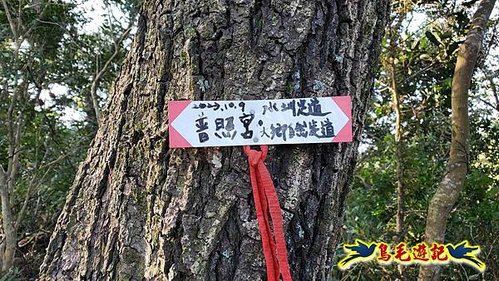 竹東三山 (16).jpg