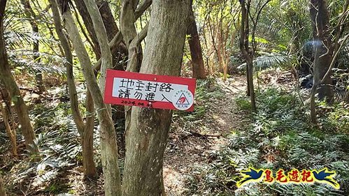 竹東三山 (20).jpg