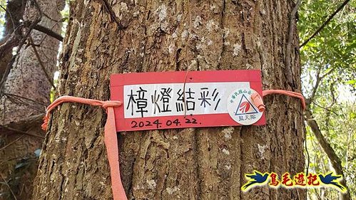 竹東三山 (27).jpg