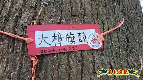 竹東三山 (32).jpg