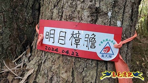 竹東三山 (30).jpg