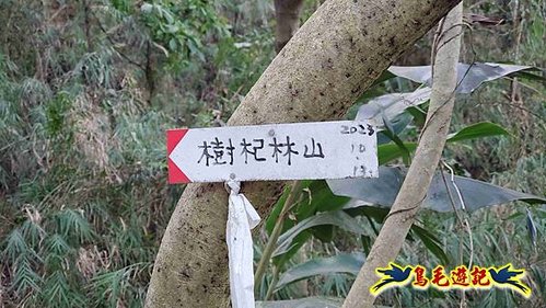 竹東三山 (41).jpg