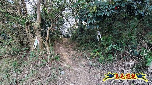 竹東三山 (40).jpg
