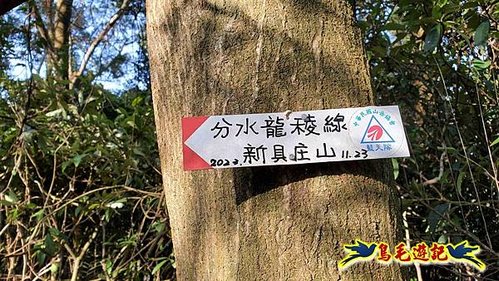 竹東三山 (47).jpg