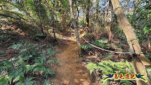 竹東三山 (54).jpg