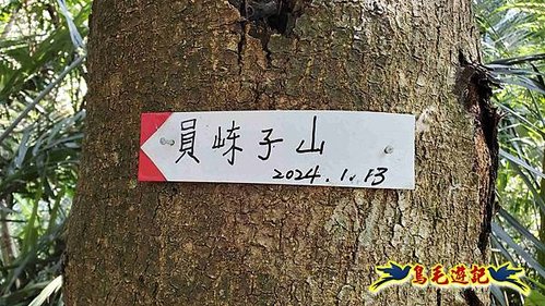 竹東三山 (62).jpg