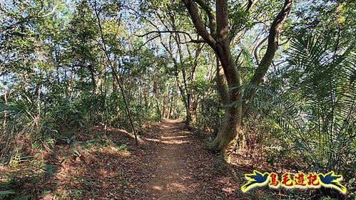 竹東三山 (65).jpg