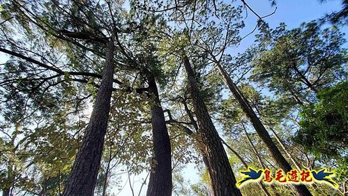 竹東三山 (67).jpg