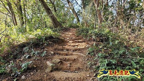竹東三山 (69).jpg