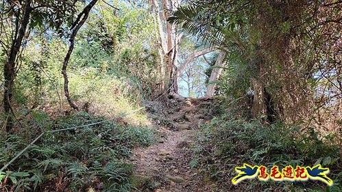 竹東三山 (73).jpg