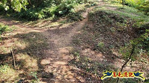 竹東三山 (72).jpg