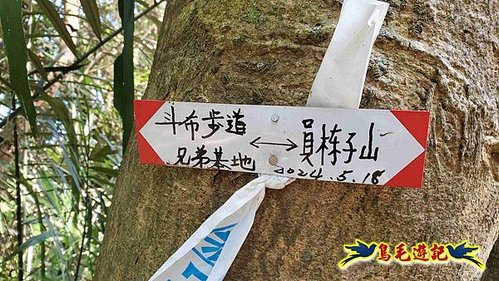 竹東三山 (79).jpg