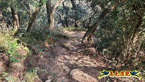 竹東三山 (77).jpg