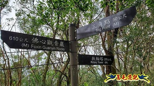 紅淡月眉縱走(三坑-四腳亭) (13).jpg