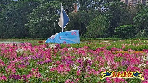 2025花IN台北-古亭河濱公園花海 (14).jpg