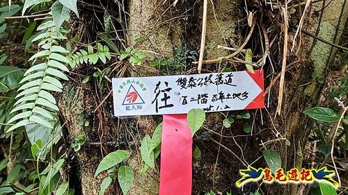 雙溪雙泰公路舊道-百二階古道-苕谷瀑布-逸仙山(蝙蝠山)O形 (5).jpg