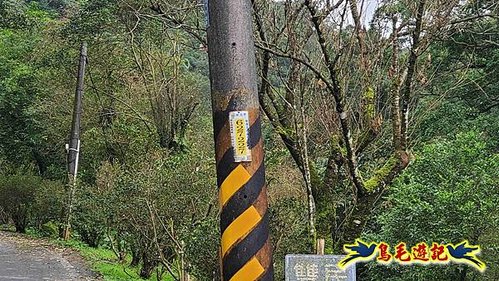 雙溪雙泰公路舊道-百二階古道-苕谷瀑布-逸仙山(蝙蝠山)O形 (3).jpg