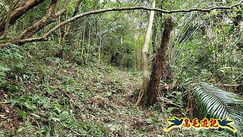 雙溪雙泰公路舊道-百二階古道-苕谷瀑布-逸仙山(蝙蝠山)O形 (6).jpg