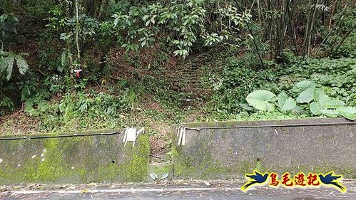 雙溪雙泰公路舊道-百二階古道-苕谷瀑布-逸仙山(蝙蝠山)O形 (4).jpg