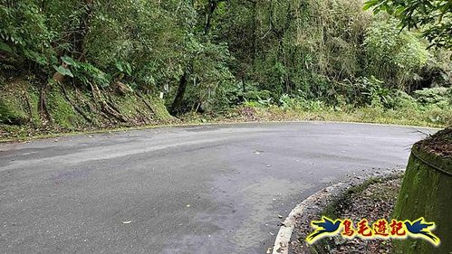 雙溪雙泰公路舊道-百二階古道-苕谷瀑布-逸仙山(蝙蝠山)O形 (10).jpg
