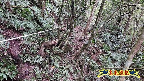 雙溪雙泰公路舊道-百二階古道-苕谷瀑布-逸仙山(蝙蝠山)O形 (8).jpg