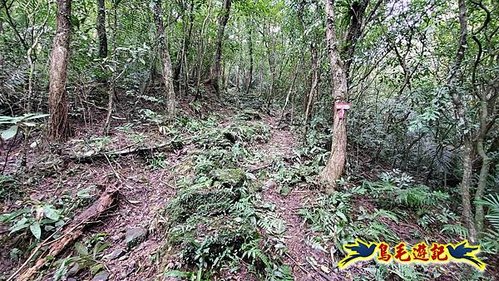 雙溪雙泰公路舊道-百二階古道-苕谷瀑布-逸仙山(蝙蝠山)O形 (16).jpg