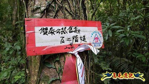 雙溪雙泰公路舊道-百二階古道-苕谷瀑布-逸仙山(蝙蝠山)O形 (17).jpg