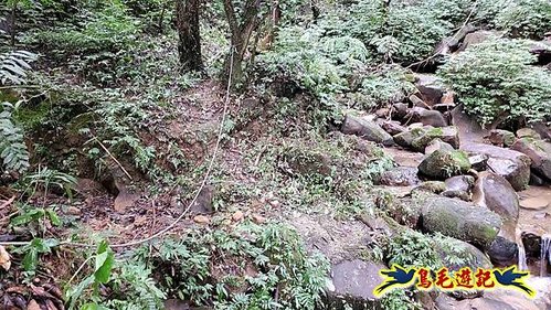 雙溪雙泰公路舊道-百二階古道-苕谷瀑布-逸仙山(蝙蝠山)O形 (13).jpg