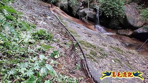 雙溪雙泰公路舊道-百二階古道-苕谷瀑布-逸仙山(蝙蝠山)O形 (15).jpg
