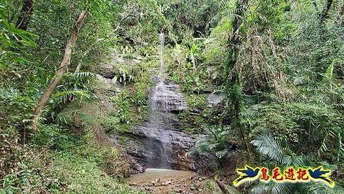 雙溪雙泰公路舊道-百二階古道-苕谷瀑布-逸仙山(蝙蝠山)O形 (20).jpg