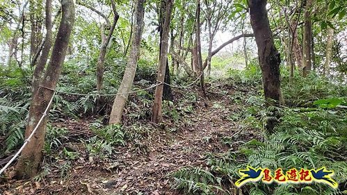 雙溪雙泰公路舊道-百二階古道-苕谷瀑布-逸仙山(蝙蝠山)O形 (23).jpg